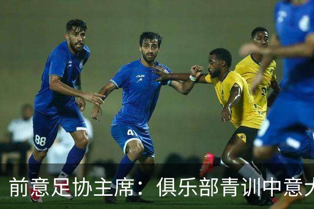 前意足协主席：俱乐部青训中意大利人只有30% 意大利本该进世界杯